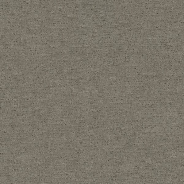 Anderson Tuftex Carpet Sketch Intrigue 00552_ZZ077