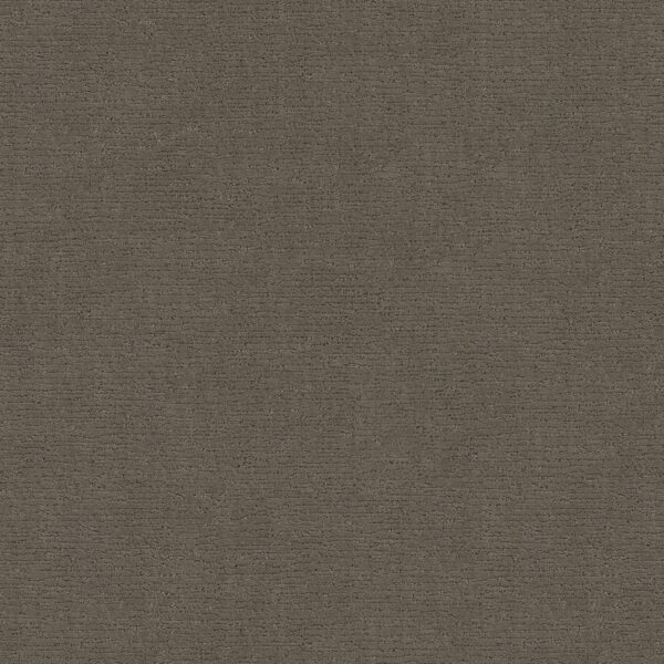 Anderson Tuftex Carpet Sketch Dash 00556_ZZ077