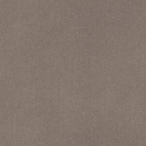 Anderson Tuftex Carpet Sketch Socialite 00851_ZZ077