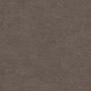 Anderson Tuftex Carpet Sketch Enigma 00854_ZZ077
