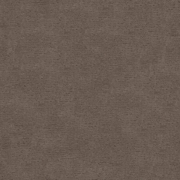 Anderson Tuftex Carpet Sketch Enigma 00854_ZZ077