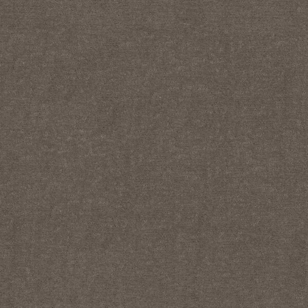 Anderson Tuftex Carpet Sketch Chantrelle 00857_ZZ077