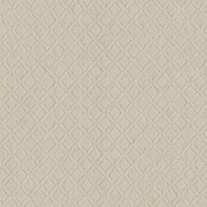 Anderson Tuftex Carpet Muse Almond Milk 00101_ZZ078
