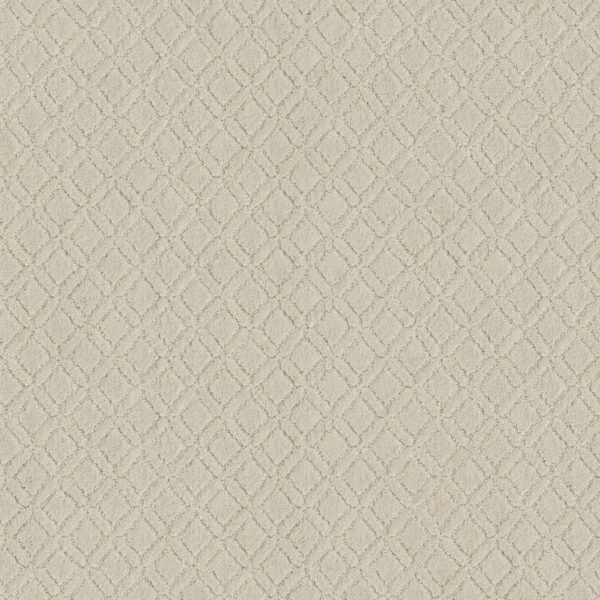 Anderson Tuftex Carpet Muse Almond Milk 00101_ZZ078
