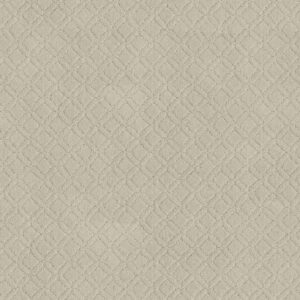 Anderson Tuftex Carpet Muse Salt Box 00102_ZZ078