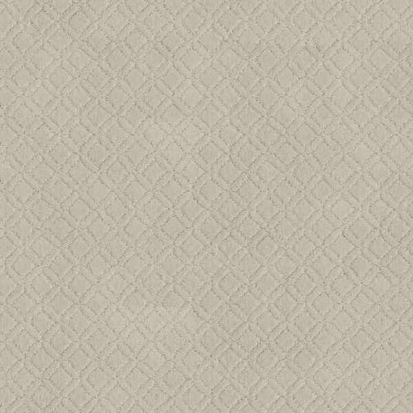 Anderson Tuftex Carpet Muse Salt Box 00102_ZZ078
