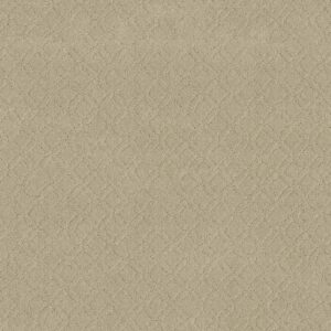 Anderson Tuftex Carpet Muse Bungalow 00103_ZZ078