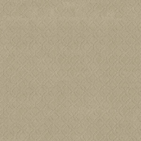 Anderson Tuftex Carpet Muse Bungalow 00103_ZZ078