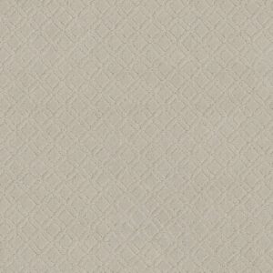 Anderson Tuftex Carpet Muse Minimal 00112_ZZ078