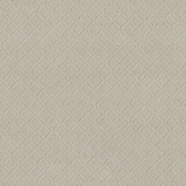 Anderson Tuftex Carpet Muse Minimal 00112_ZZ078