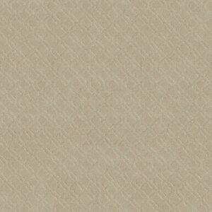 Anderson Tuftex Carpet Muse Morning Light 00113_ZZ078