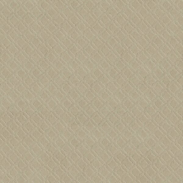 Anderson Tuftex Carpet Muse Morning Light 00113_ZZ078