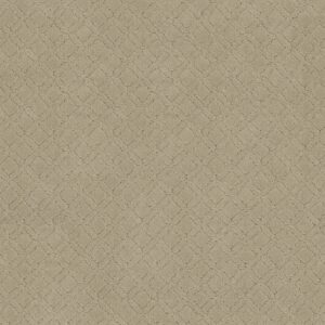 Anderson Tuftex Carpet Muse Oak Ridge 00114_ZZ078