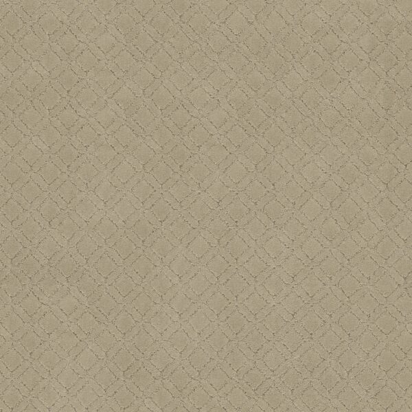 Anderson Tuftex Carpet Muse Oak Ridge 00114_ZZ078
