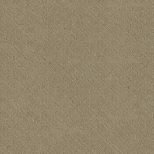 Anderson Tuftex Carpet Muse Coronado 00115_ZZ078
