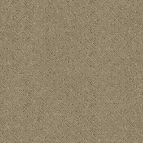 Anderson Tuftex Carpet Muse Coronado 00115_ZZ078