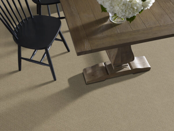 Anderson Tuftex Carpet Muse Coronado 00115_ZZ078 - Image 2