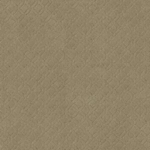 Anderson Tuftex Carpet Muse Folklore 00123_ZZ078