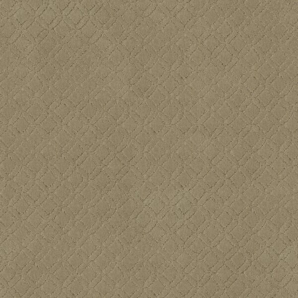 Anderson Tuftex Carpet Muse Folklore 00123_ZZ078