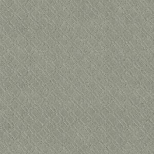 Anderson Tuftex Carpet Muse Rain Dance 00311_ZZ078