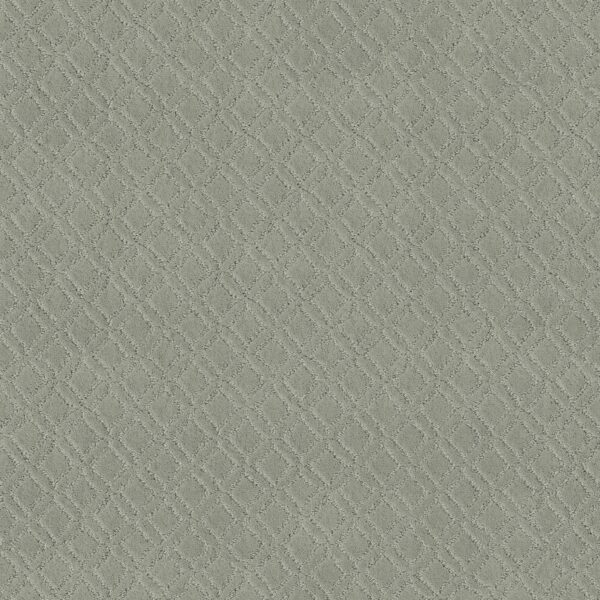 Anderson Tuftex Carpet Muse Rain Dance 00311_ZZ078
