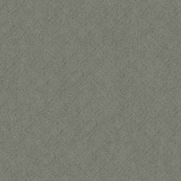 Anderson Tuftex Carpet Muse Pine Forest 00314_ZZ078