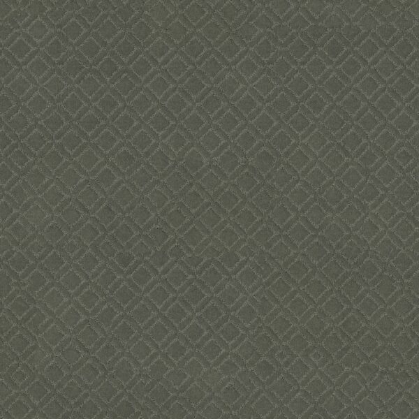 Anderson Tuftex Carpet Muse Wonder 00316_ZZ078