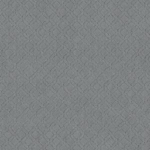 Anderson Tuftex Carpet Muse Edgewater 00451_ZZ078