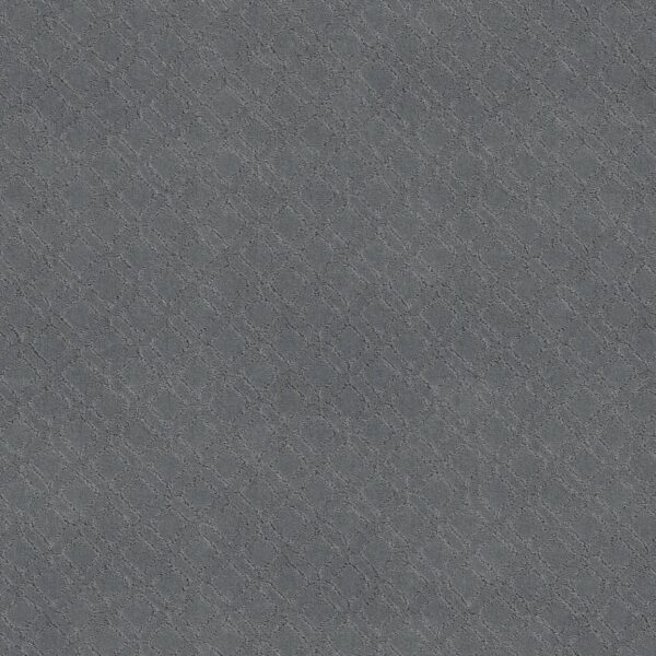 Anderson Tuftex Carpet Muse Comet 00454_ZZ078