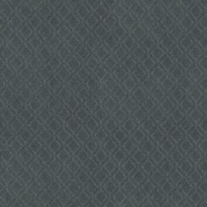 Anderson Tuftex Carpet Muse Ocean Floor 00457_ZZ078