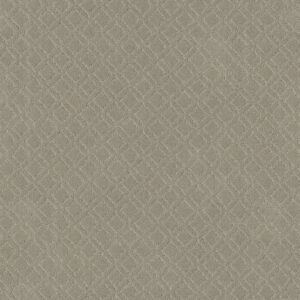 Anderson Tuftex Carpet Muse Inner Balance 00511_ZZ078