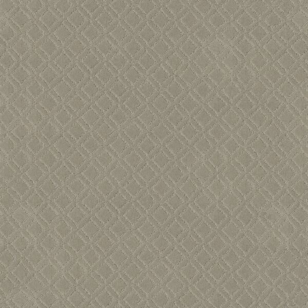 Anderson Tuftex Carpet Muse Inner Balance 00511_ZZ078