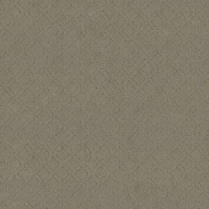 Anderson Tuftex Carpet Muse Reflection 00512_ZZ078