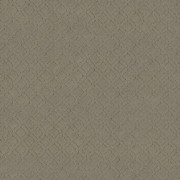 Anderson Tuftex Carpet Muse Reflection 00512_ZZ078