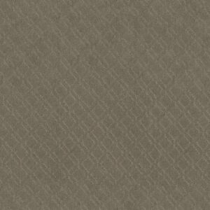 Anderson Tuftex Carpet Muse Rockport 00515_ZZ078