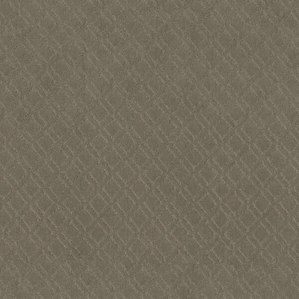 Anderson Tuftex Carpet Muse Rockport 00515_ZZ078