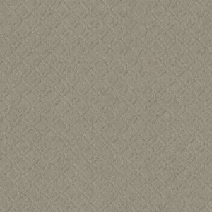 Anderson Tuftex Carpet Muse Half Moon 00531_ZZ078