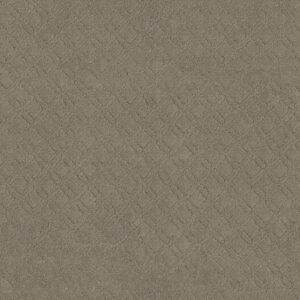 Anderson Tuftex Carpet Muse Imperial 00532_ZZ078
