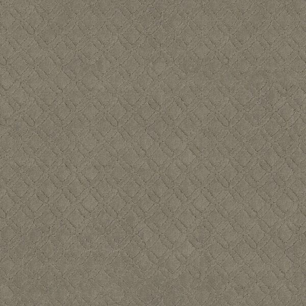 Anderson Tuftex Carpet Muse Imperial 00532_ZZ078