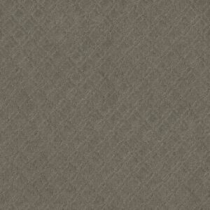 Anderson Tuftex Carpet Muse Herbal 00535_ZZ078
