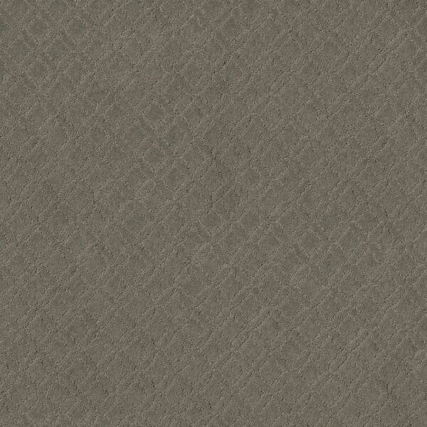 Anderson Tuftex Carpet Muse Herbal 00535_ZZ078