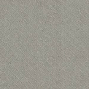 Anderson Tuftex Carpet Muse Gentle Gray 00541_ZZ078