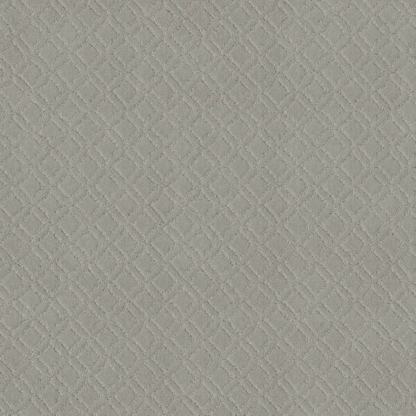 Anderson Tuftex Carpet Muse Gentle Gray 00541_ZZ078
