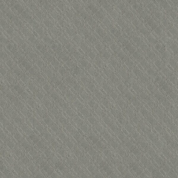 Anderson Tuftex Carpet Muse Smoke Embers 00542_ZZ078