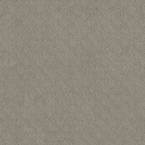 Anderson Tuftex Carpet Muse Cumulus 00551_ZZ078