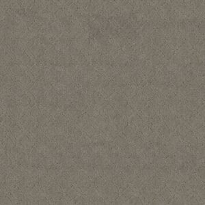 Anderson Tuftex Carpet Muse Intrigue 00552_ZZ078