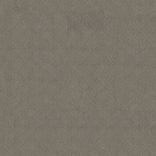 Anderson Tuftex Carpet Muse Intrigue 00552_ZZ078