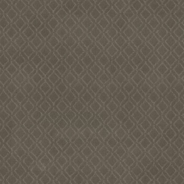 Anderson Tuftex Carpet Muse Dash 00556_ZZ078
