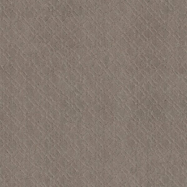Anderson Tuftex Carpet Muse Socialite 00851_ZZ078