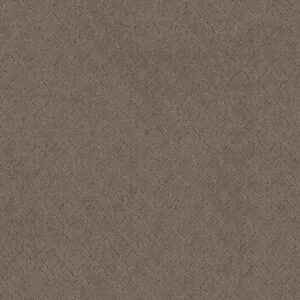 Anderson Tuftex Carpet Muse Enigma 00854_ZZ078